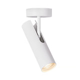 MIB Ceiling light