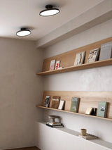 Kaito 2 Pro 30 Ceiling Light