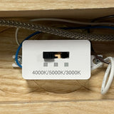Harvest Linear Pendant