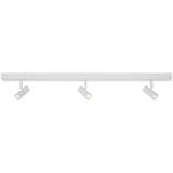 Omari 3 Spot Ceiling