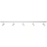 Omari 5 Spot Ceiling