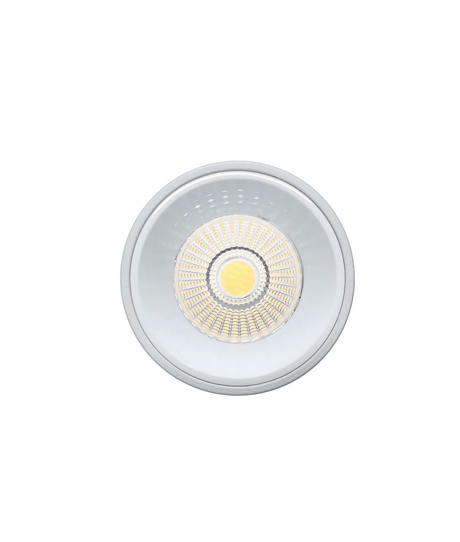 Pivot Recessed Spot Light