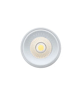 Pivot Recessed Spot Light