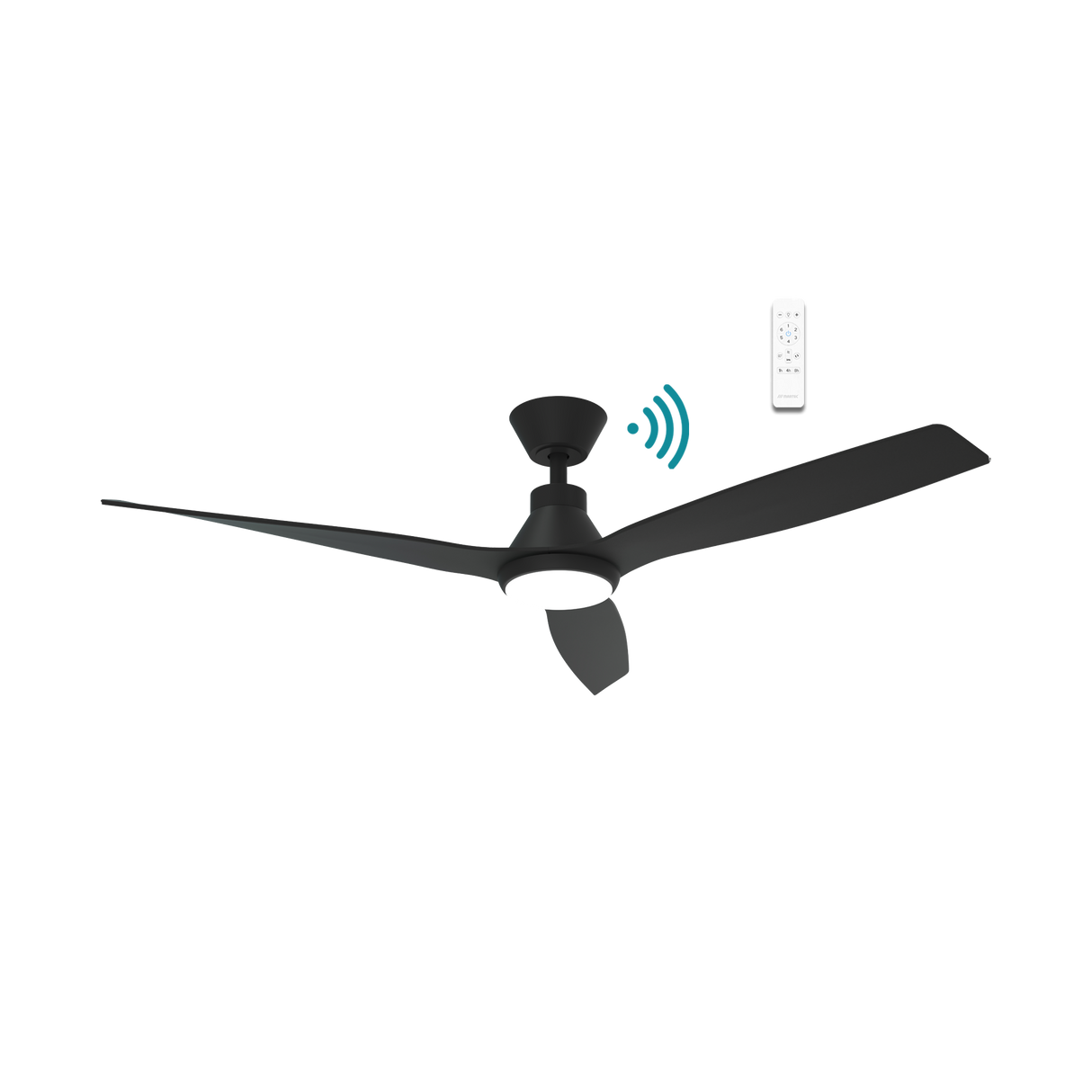 Triumph DC ceiling fan