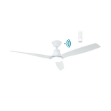 Triumph DC ceiling fan