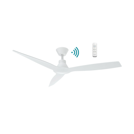 Triumph DC ceiling fan