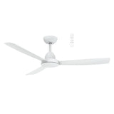 Zorro DC ceiling fan