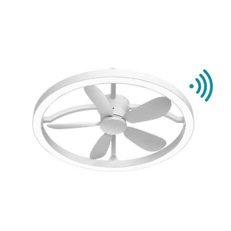 Catalina DC ceiling fan