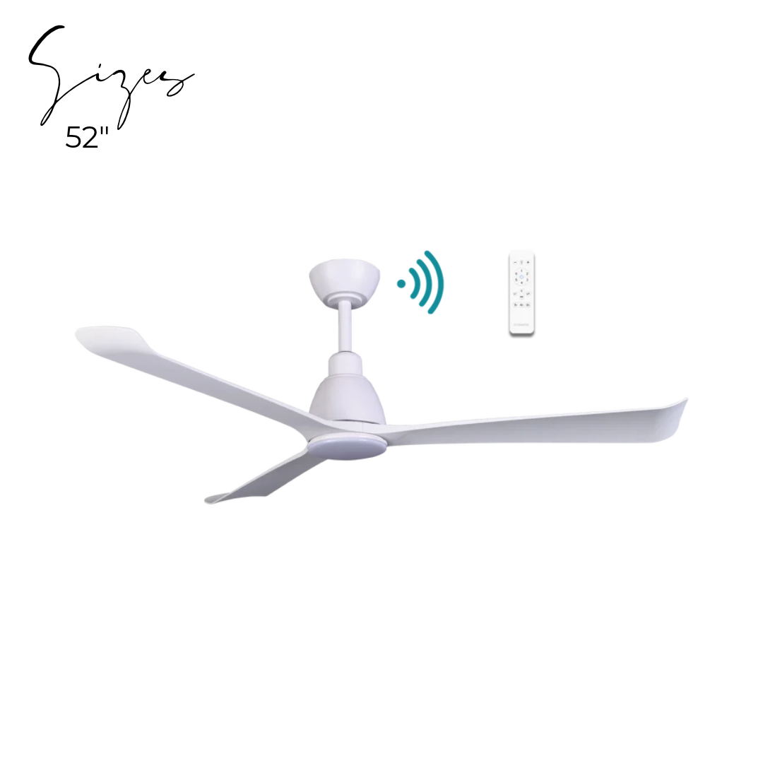Polo DC Ceiling Fan