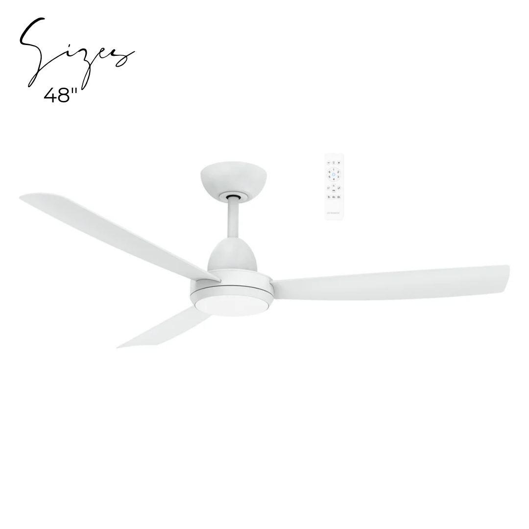 Zorro DC ceiling fan