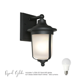 Enso Wall Light