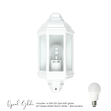 Plains Wall Light