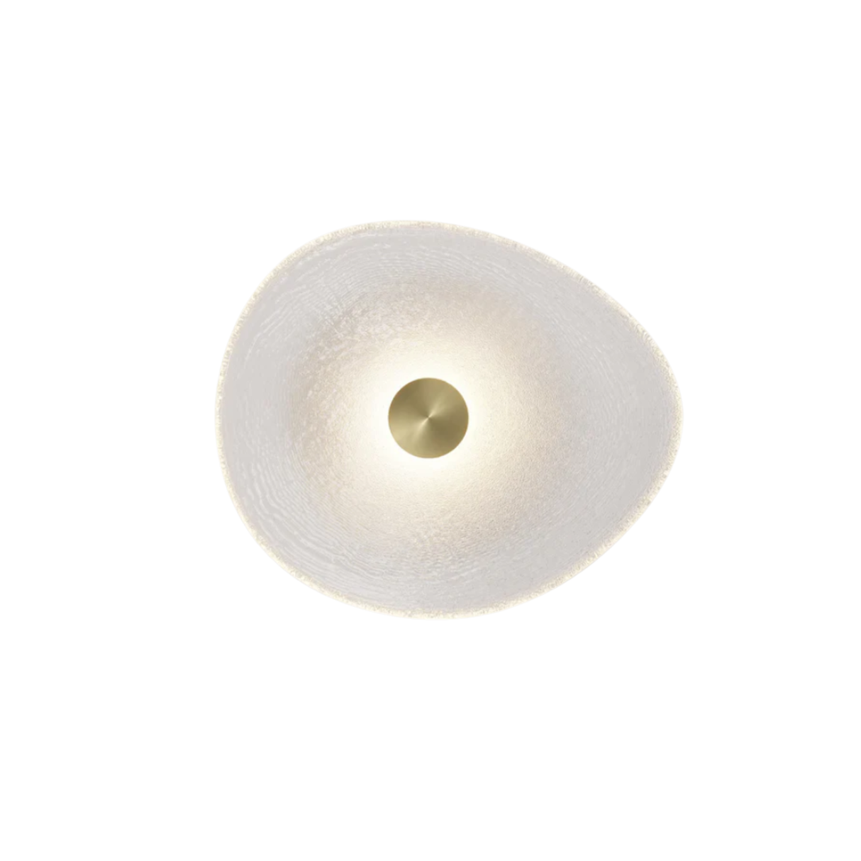 Coral Organic Wall Light