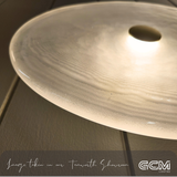Coral Organic Wall Light