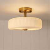 Willow Close to Ceiling