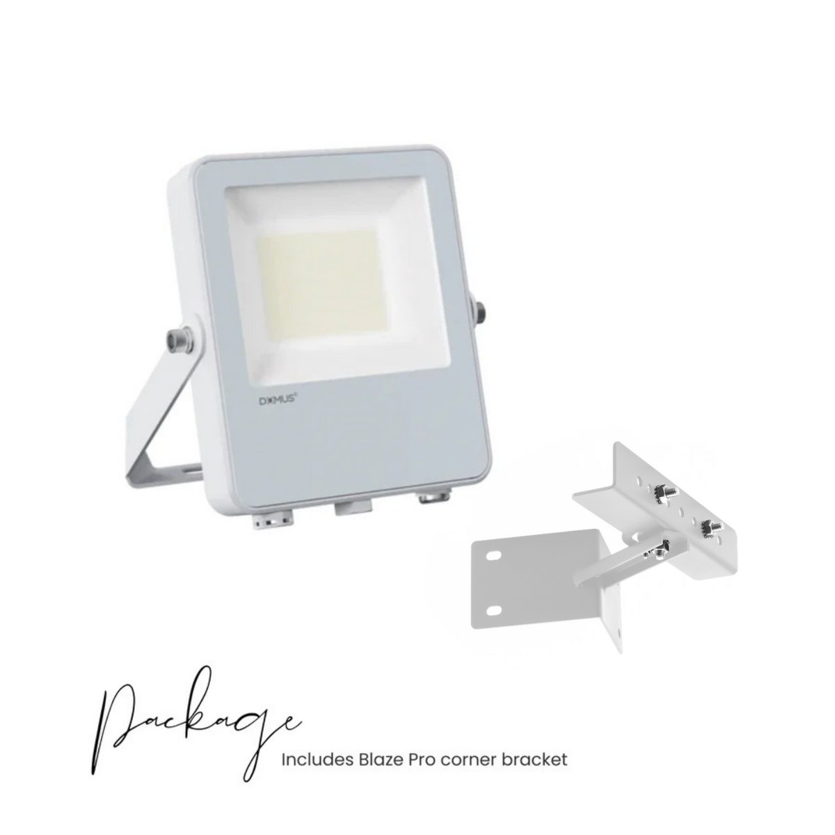 Blaze-Pro Series LED Floodlight - White