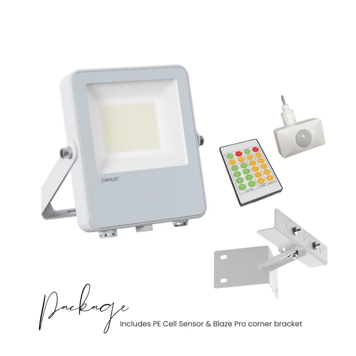 Blaze-Pro Series LED Floodlight - White