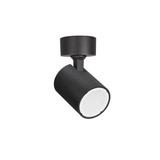 Min Spot Light