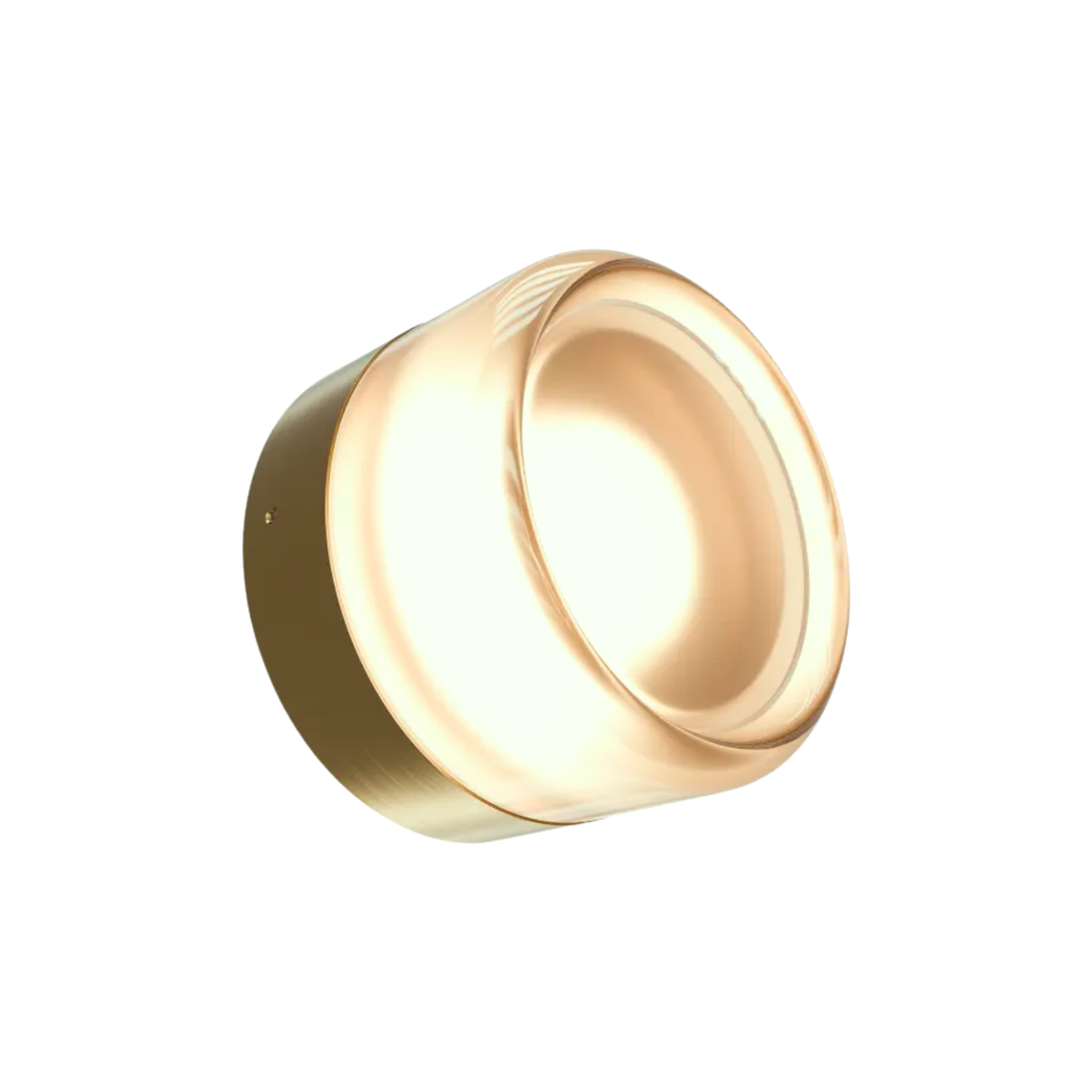 Gull Wall Light