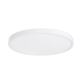 Auster White Oyster Light