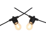 Festoon Lights 12V - Warm White - 10 Globes
