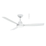 Zorro DC ceiling fan